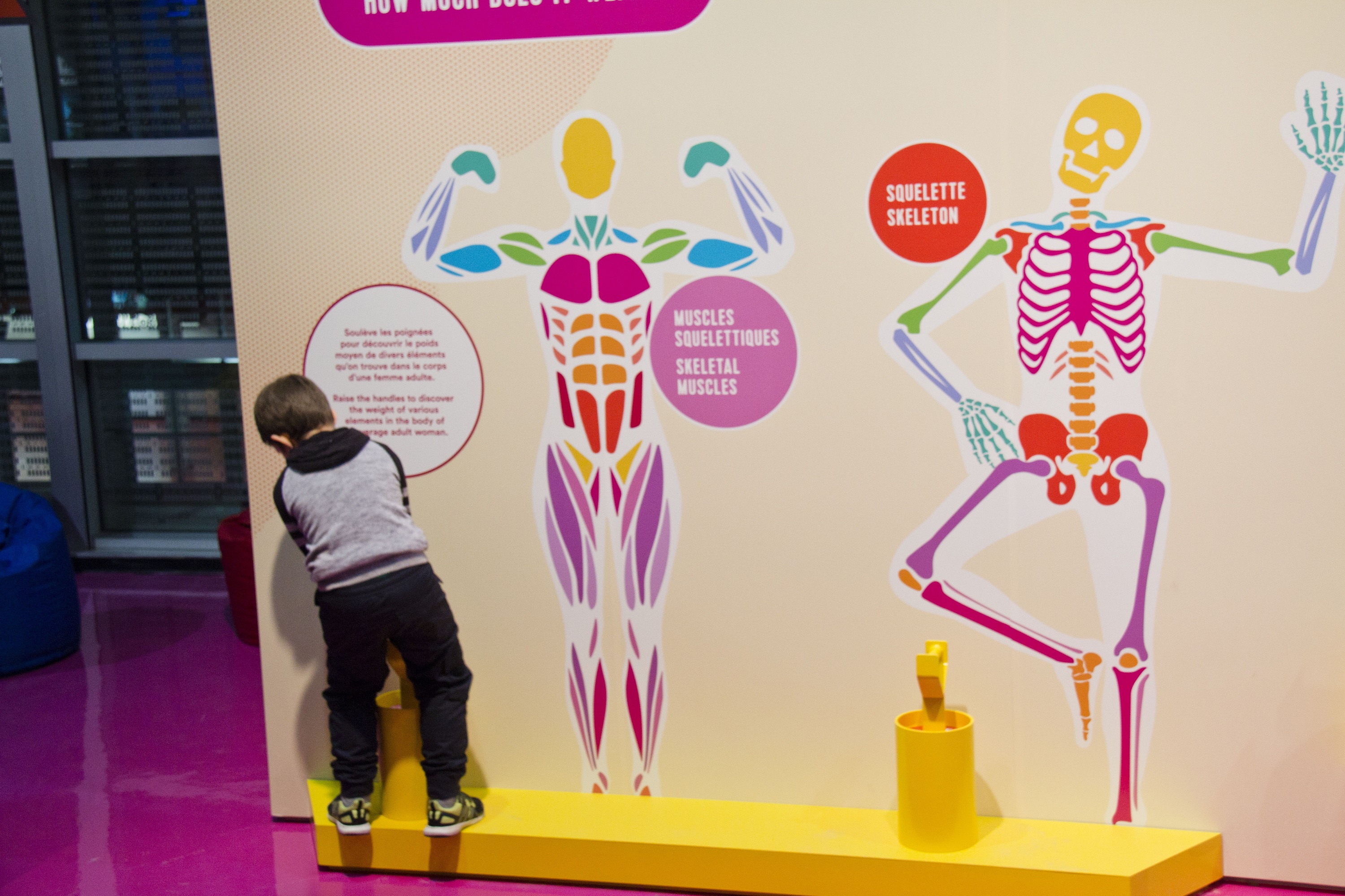 Activités pour camps de jour Centre des sciences de Montréal