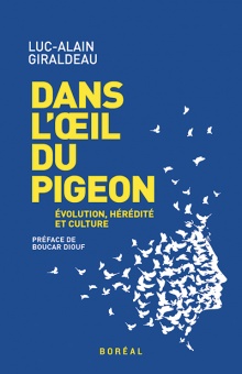 Dans l'oeil du pigeon