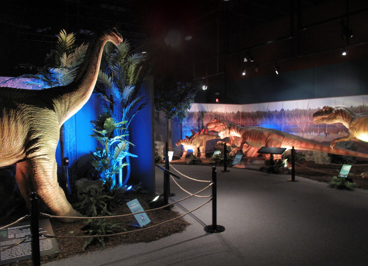 Dinosaurs Unearthed 2