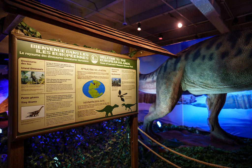 Dinosaures autour du monde  Centre des sciences de Montréal