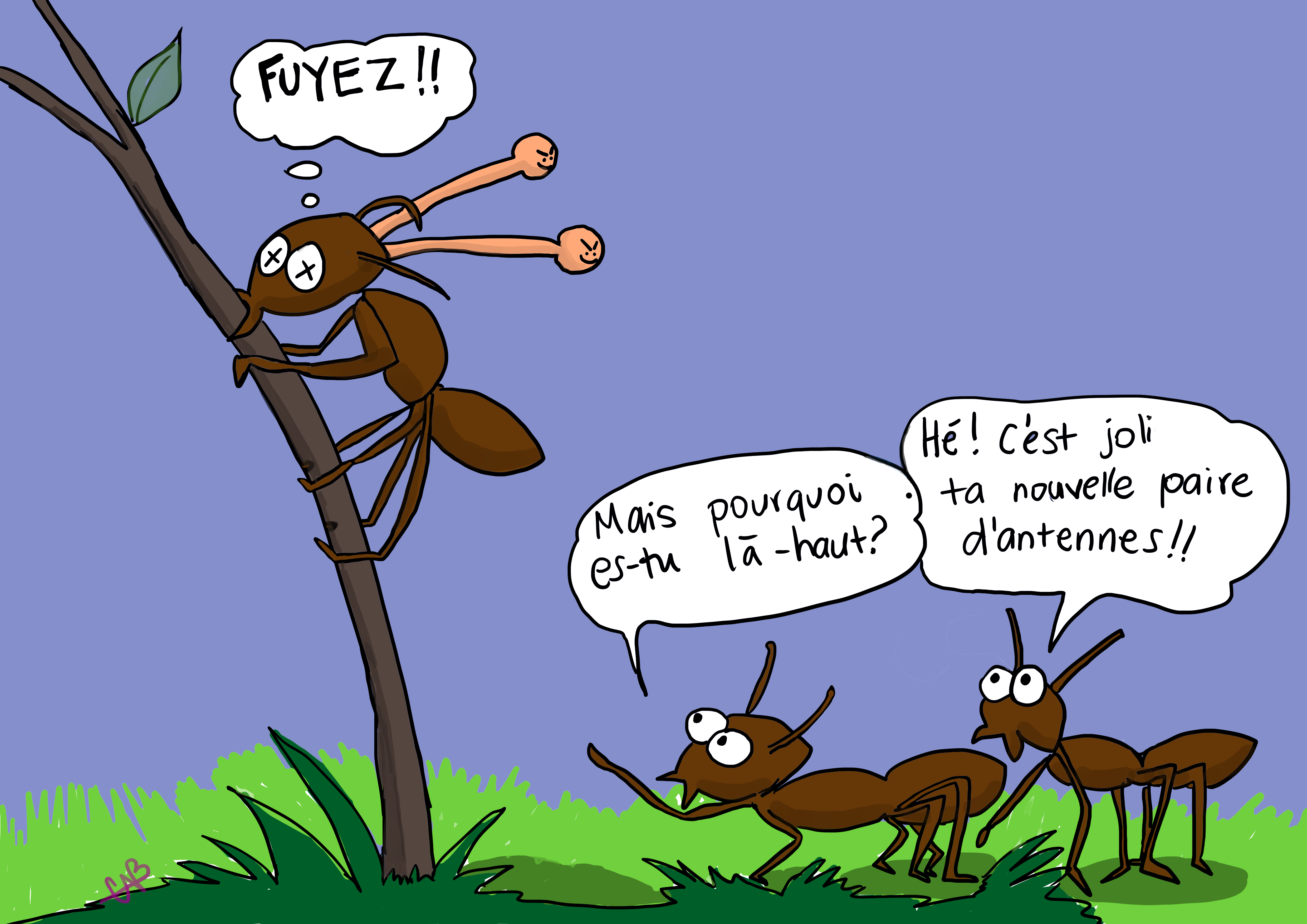 Fourmis zombies