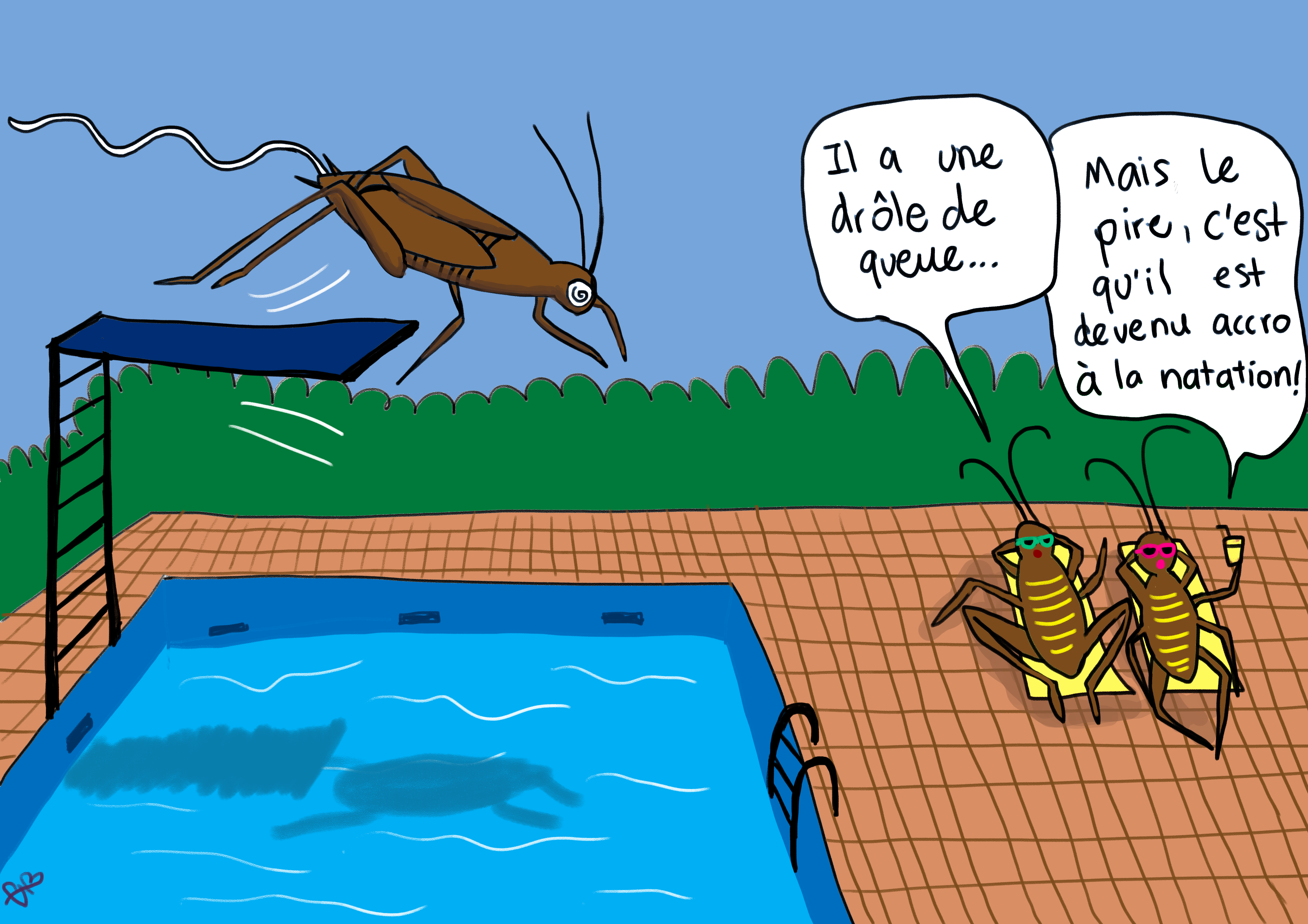 Vers d'eau