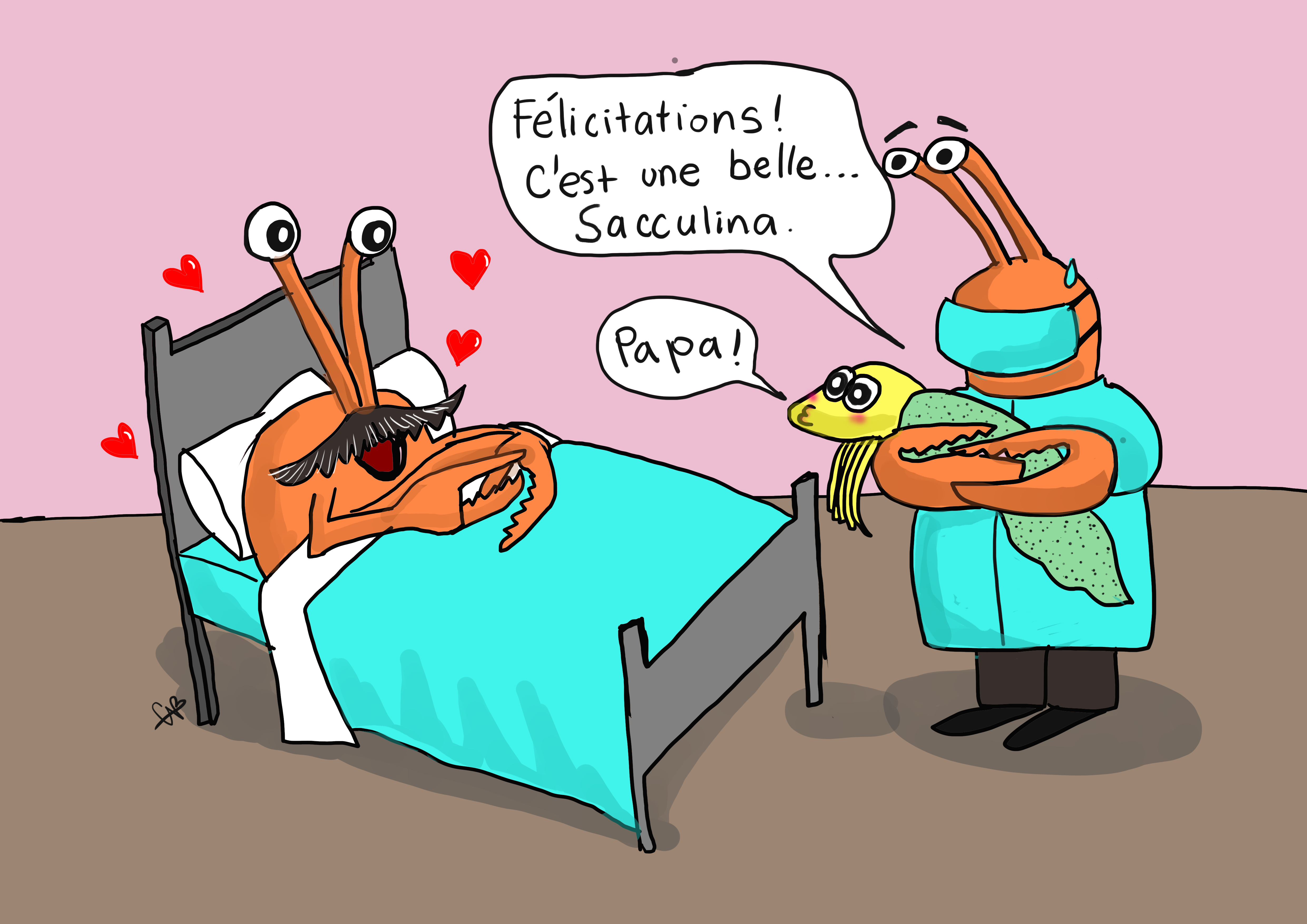 Crabe