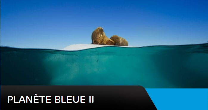 Planète Bleue 2