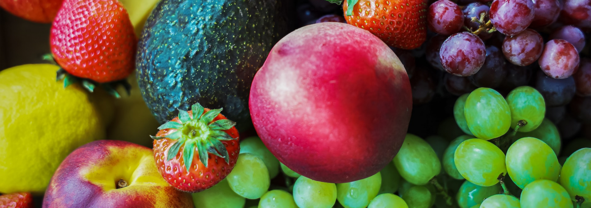 Piège à mouches des fruits, moucherons, mouches de vinaigre