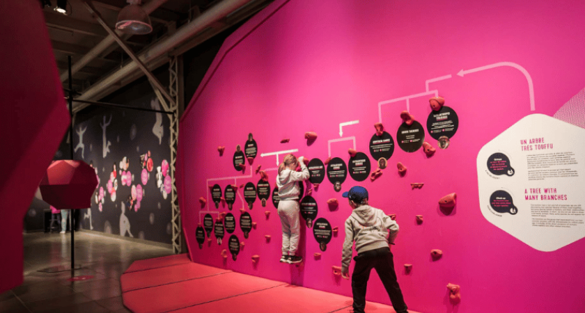 Mur descalade de l'exposition Humain