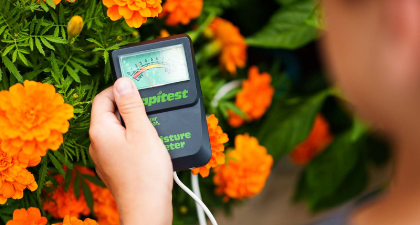 Photo du Potager techno