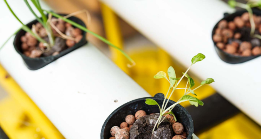 Photo du Potager techno
