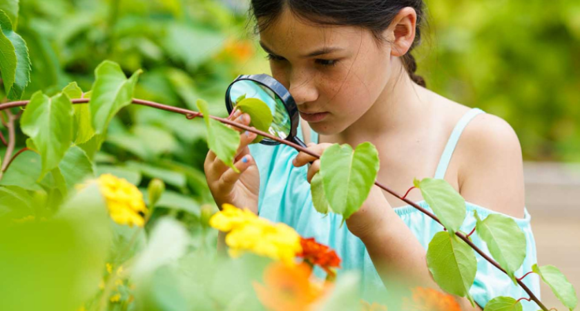 Photo du Potager techno