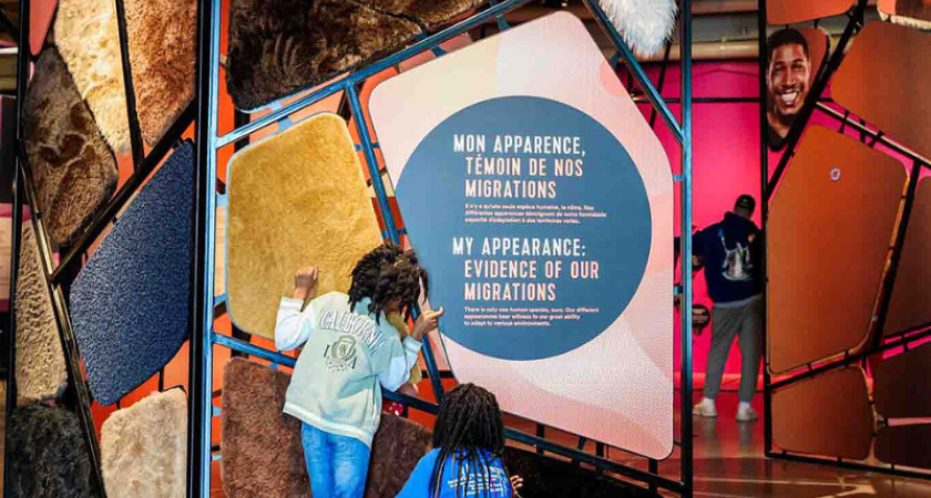 Interactif à l'exposition Humain