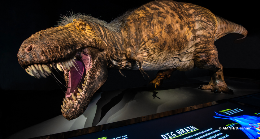 T.rex